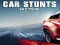 Spil Car Stunts Sky Tour online