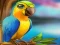 Spil Little Parrot Escape online
