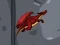 Spil Dragon Domination online