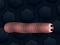 Spil Math Slither online
