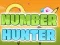 Spil Number Hunter online