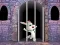 Spil Victory Rabbit Escape online
