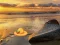 Spil Escape From Sunset Beach online