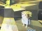 Spil Kogama: Adventure online