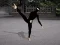 Spil Ninja Academy online