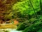 Spil Peaceful Rainbow Forest Escape online