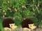 Spil Escape From Mango Farm online
