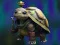 Spil Isolated Turtle Escape online