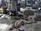 Spil Friends Rescue From Skeleton online