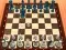 Spil Chess Master 3D online