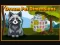 Spil Dream Pet Dimensions online