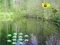 Spil Sunlight Forest Adventure online