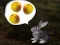 Spil The Foggy Forest online