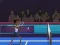 Spil Badminton Brawl online
