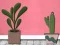 Spil Find Houseplant online