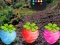 Spil Escape From Fascinated Jungle online