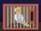 Spil Release The Cockatiel Bird online