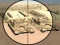 Spil Camo Sniper online