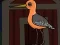 Spil Cute Godwit Escape online