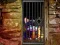 Spil Hidden Cat Escape online