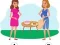 Spil Who is the Liar? online