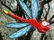 Spil Escape From Dragonfly Forest online