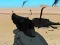 Spil Weapon online