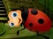 Spil Rescue The Couple Bug online