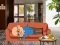 Spil Wakeup The Grandpa online