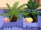 Spil Save the Plants online
