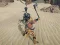 Spil The Scythian Warrior online
