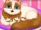 Spil Cute Kitty Pregnant online