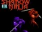 Spil Shadow of the Ninja online