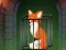 Spil Fox in the Forgotten Ruins online