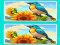 Spil Spot the Difference The Garden online