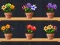 Spil Good Flower Master online