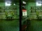 Spil Robot Bar Spot the differences online