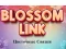 Spil Blossom Link online