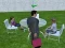 Spil Millionaire Simulator 2024 online