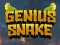 Spil Genius Snake online