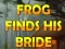 Spil Frog Finds His Bride online
