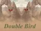 Spil Double Bird online