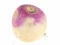 Spil Turnip online