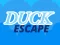 Spil Duck Escape online