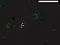 Spil Bad Timing online