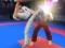 Spil Karate Fighter online