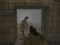 Spil Silent Asylum 2 online
