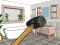 Spil Smash The Room To Pieces online