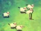 Spil Shleep online