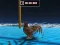 Spil Animal Impossible Track Rush online